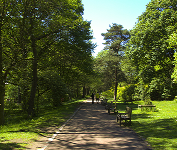 Roundhay Park in Leeds a popular destination for locals